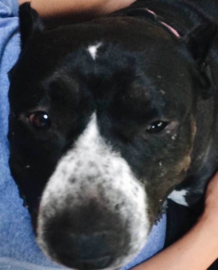 Processed with VSCO with a6 preset