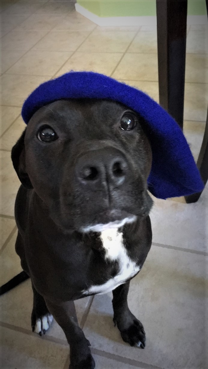 opal_artist_Wagging Sage2