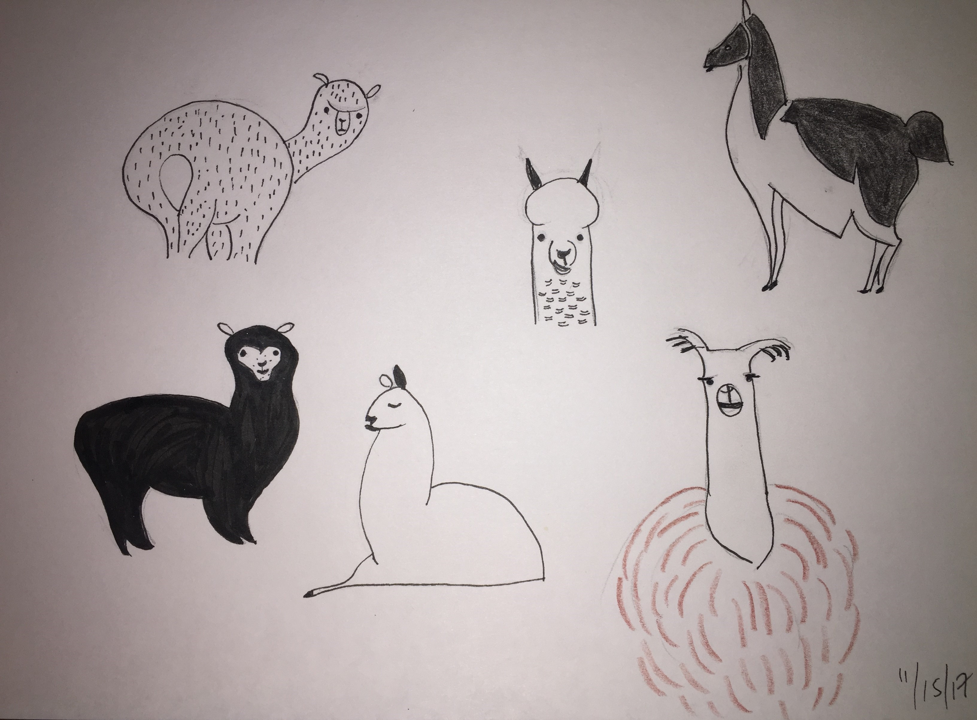 llamas