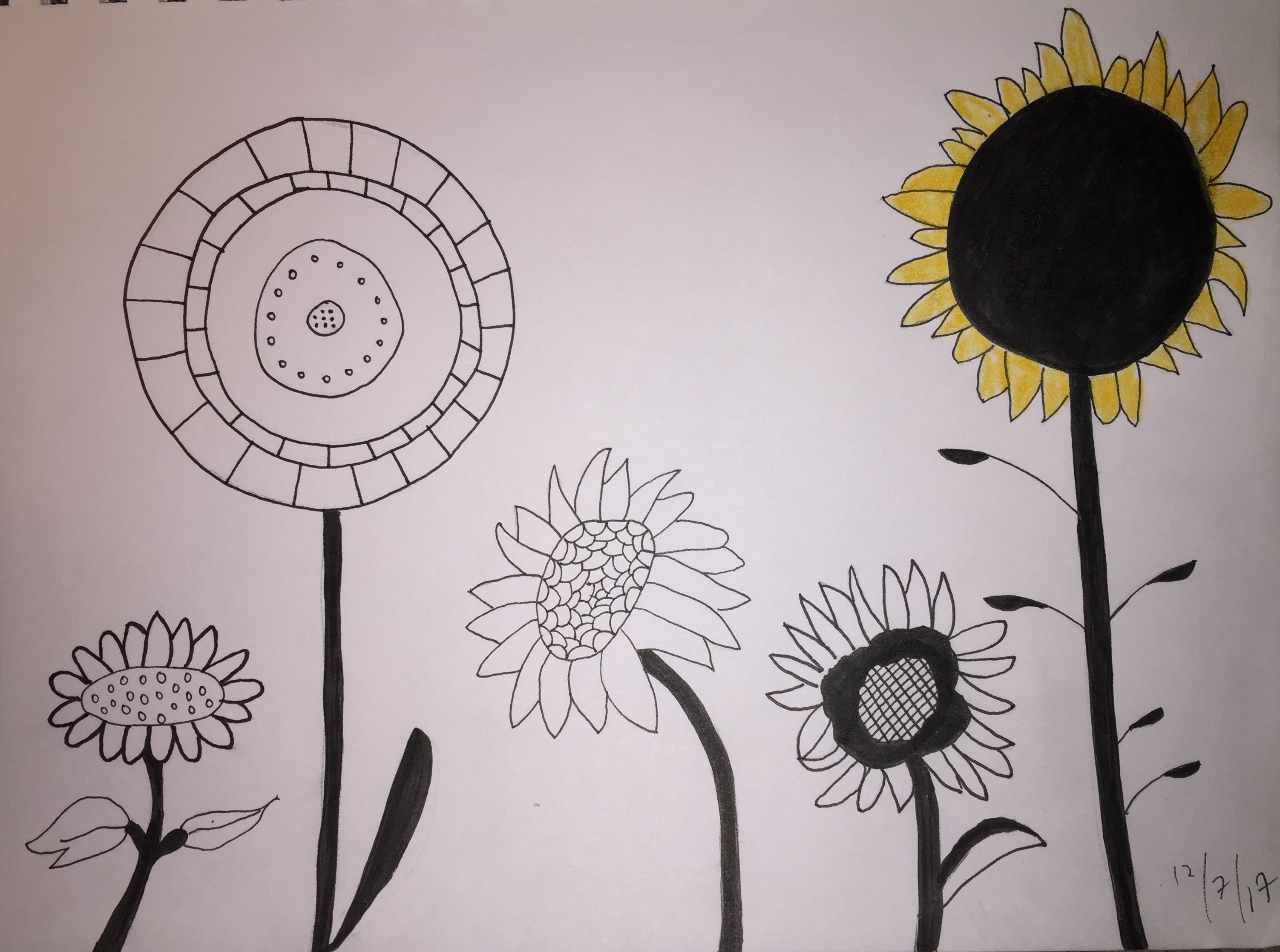 sunflowers