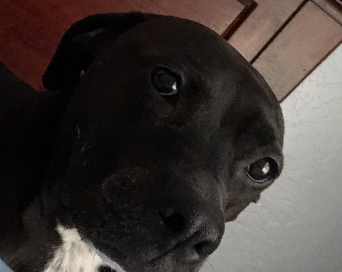 58328863989--FFD9509A-B5A0-49A1-A115-9E4434CE9B79 (1)