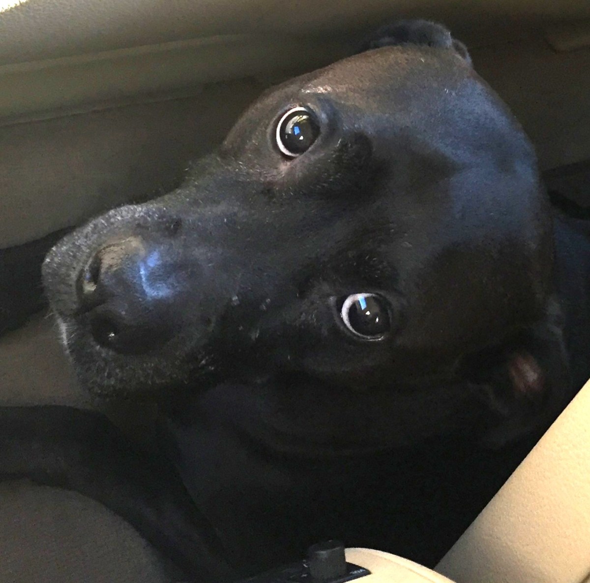 58898643441--3994F238-E25A-481B-8533-55A140D97FB3